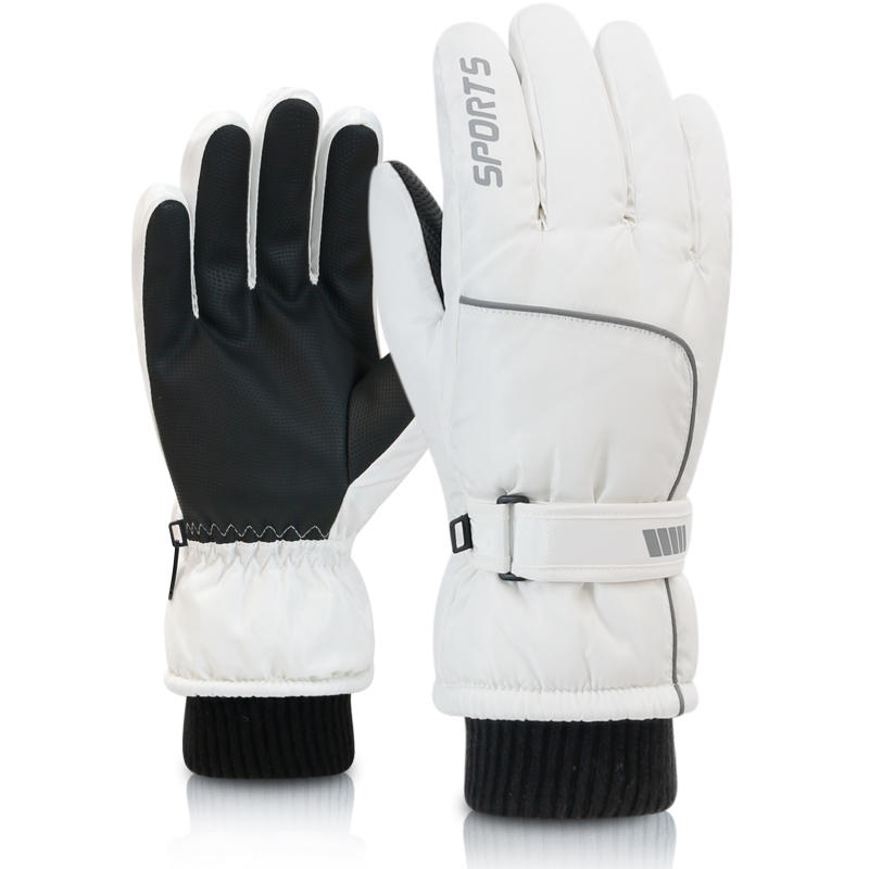 Men's AND WOMEN'S Professional - Men'S Fashion Gloves review and price