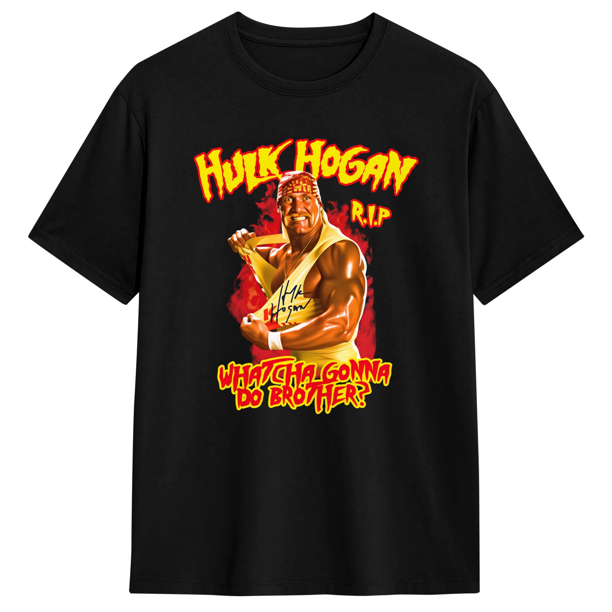 Classic RIP Hulk Hogan Print T - Men'S Fashion Aesthetics review and price